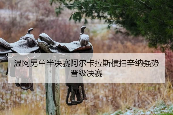 wen-wang-nan-dan-ban-jue-sai-a-er-ka-la-si-heng-sao-xin-na-qiang-shi-jin-ji-jue-sai-2-723.jpg